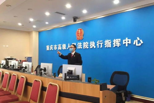 全市法院執(zhí)行工作服務(wù)經(jīng)濟社會發(fā)展大局再上新臺階的社會經(jīng)濟咨詢服務(wù)探析